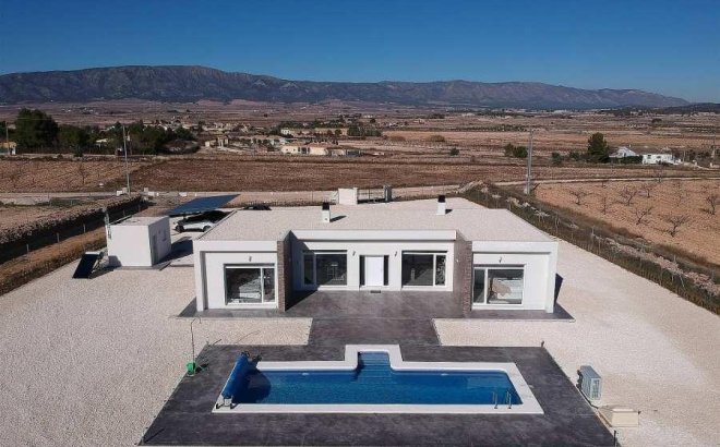 New Build - Villa -
Pinoso - Camino Del Prado