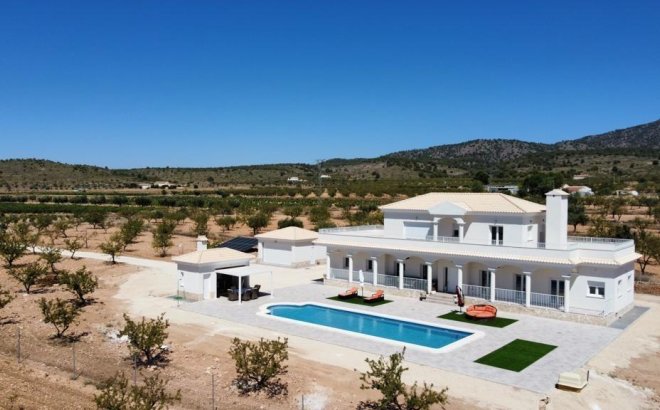 New Build - Villa -
Pinoso - Camino Del Prado