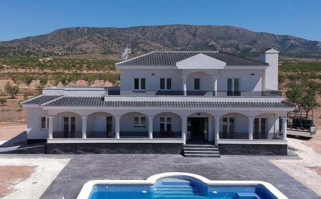 New Build - Villa -
Pinoso - Camino Del Prado