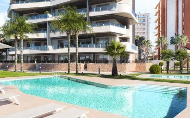 New Build - Apartment -
Guardamar del Segura - Puerto