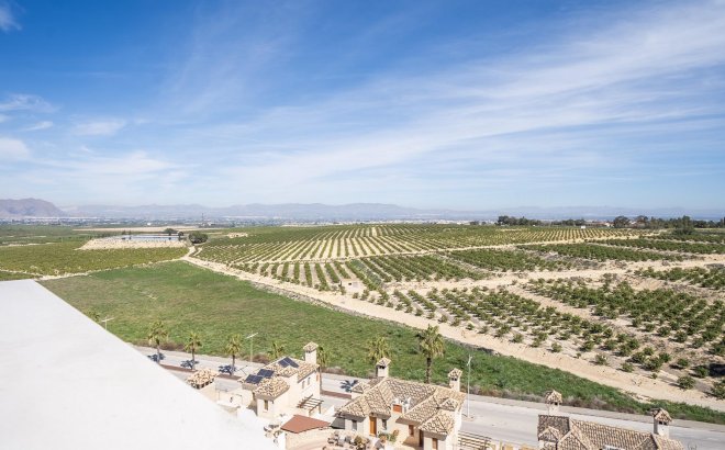 New Build - Semidetached -
Algorfa - La Finca Golf