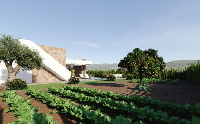 New Build - Villa -
Fuente Álamo - Hacienda del Alamo