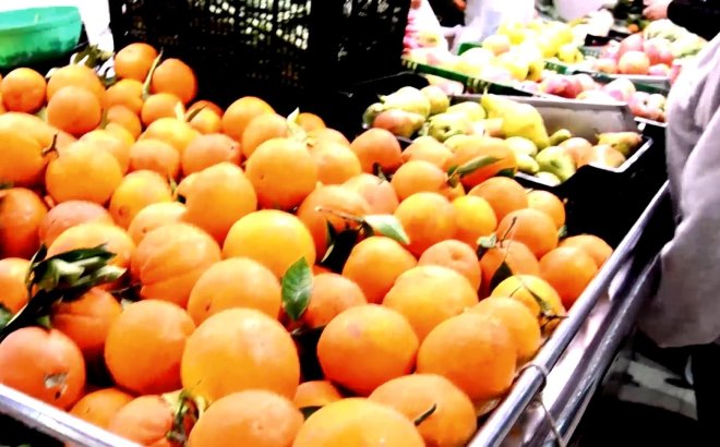 New Build - studio -
Torrevieja - Centro